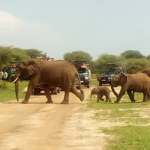 Tarangire National Park