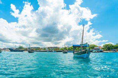 TEN DAY Tours: All of the above plus 3 days in Zanzibar returning to Dar es Salaam